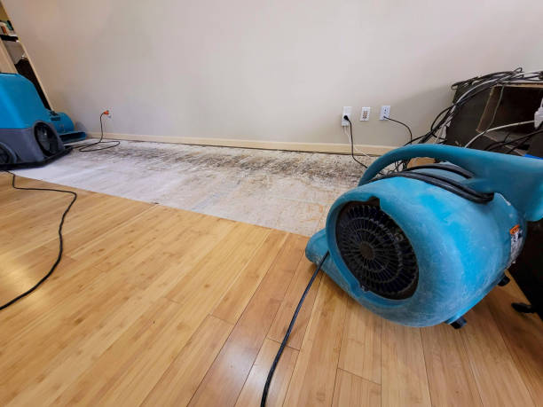 Professional Water Damage Repair technician working in Meridian, CO